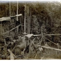 Drilling in Brunei, Borneo